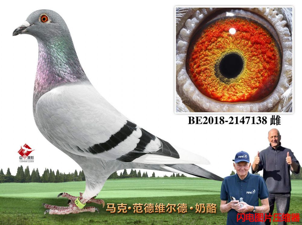 67-BE2018-2147138