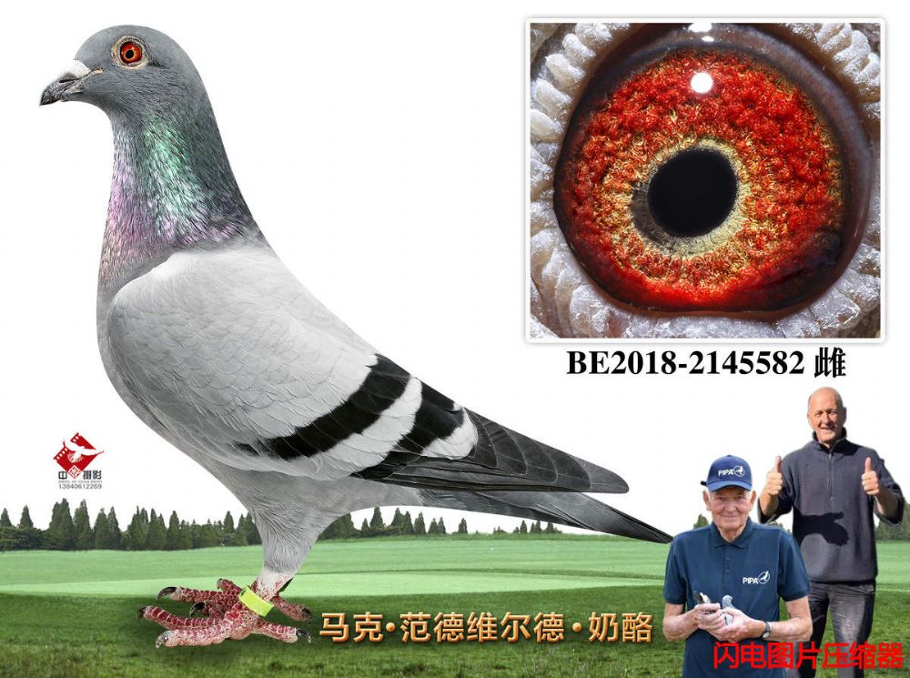 68-BE2018-2145582