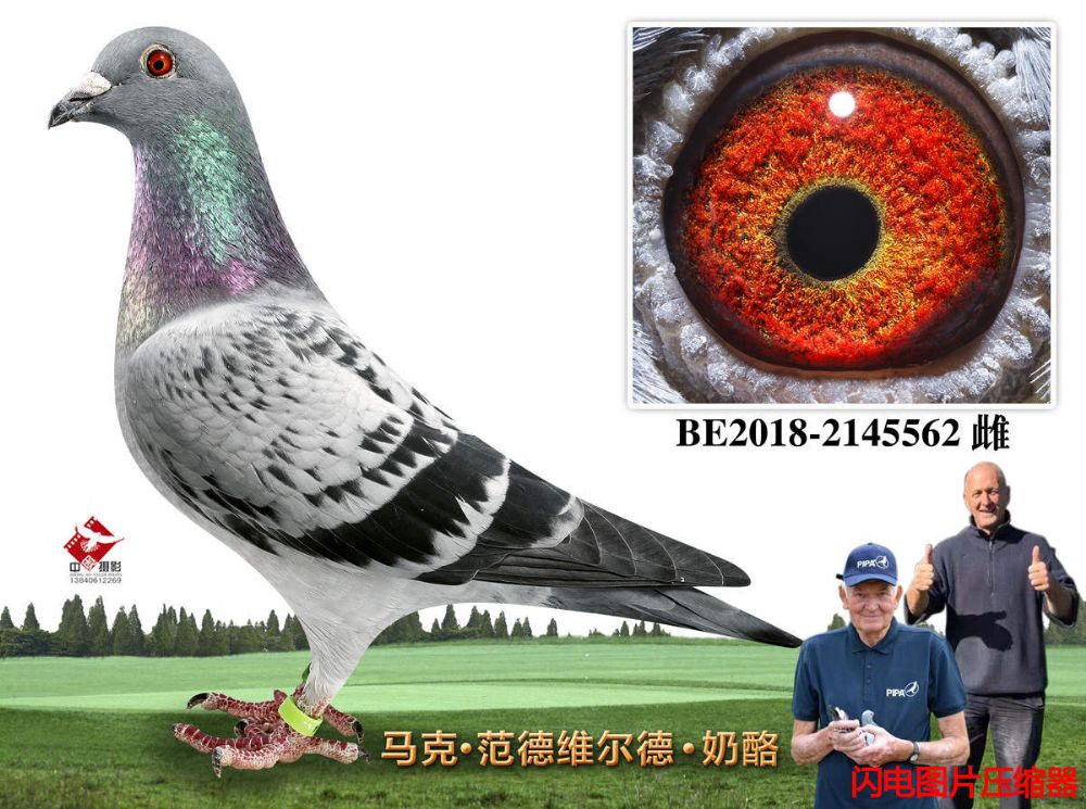 69-BE2018-2145562