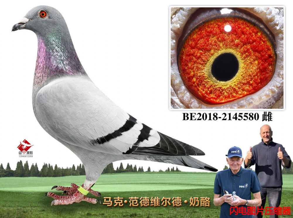 70-BE2018-2145580