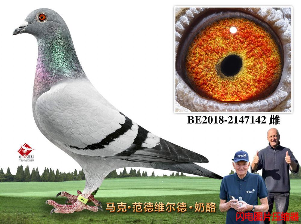 71-BE2018-2147142