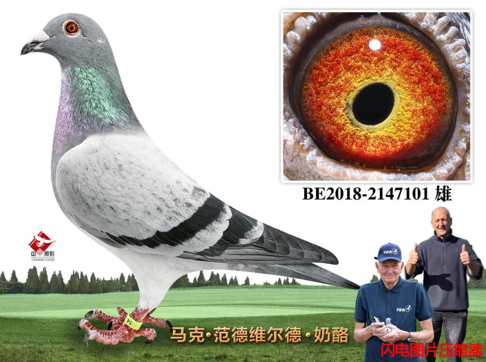 100-BE2018-2147101