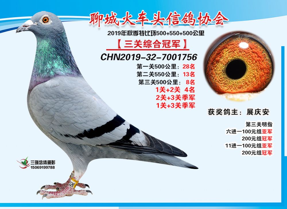 聊城火车头信鸽协会《三关鸽王总冠军》