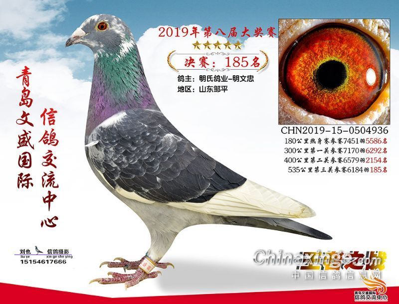 20191207022840645