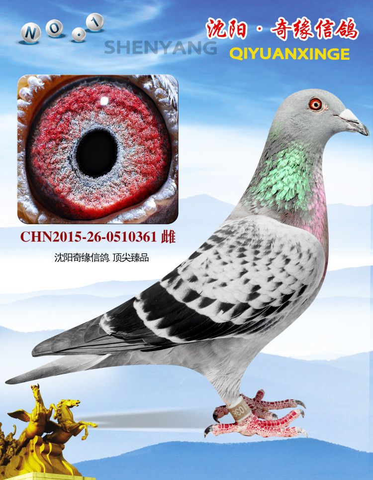 Ů