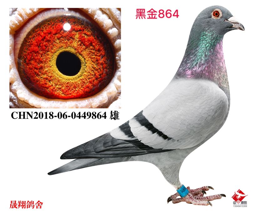 ڽ864