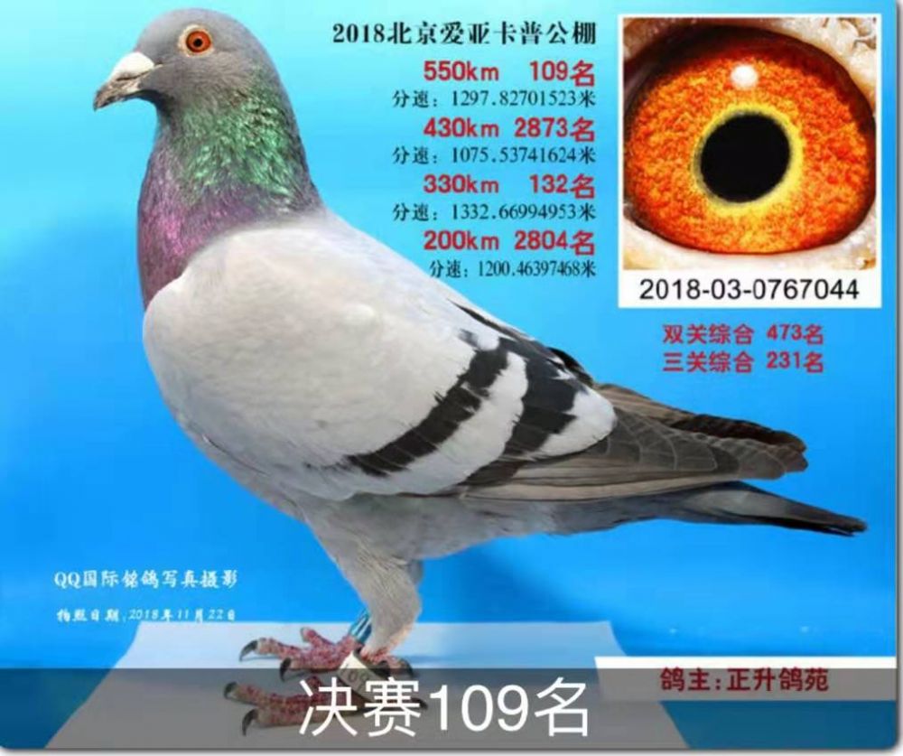 109