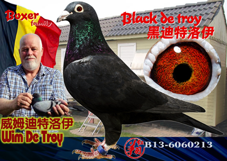 雌                         目 录:  黑色配对赛绩加原舍