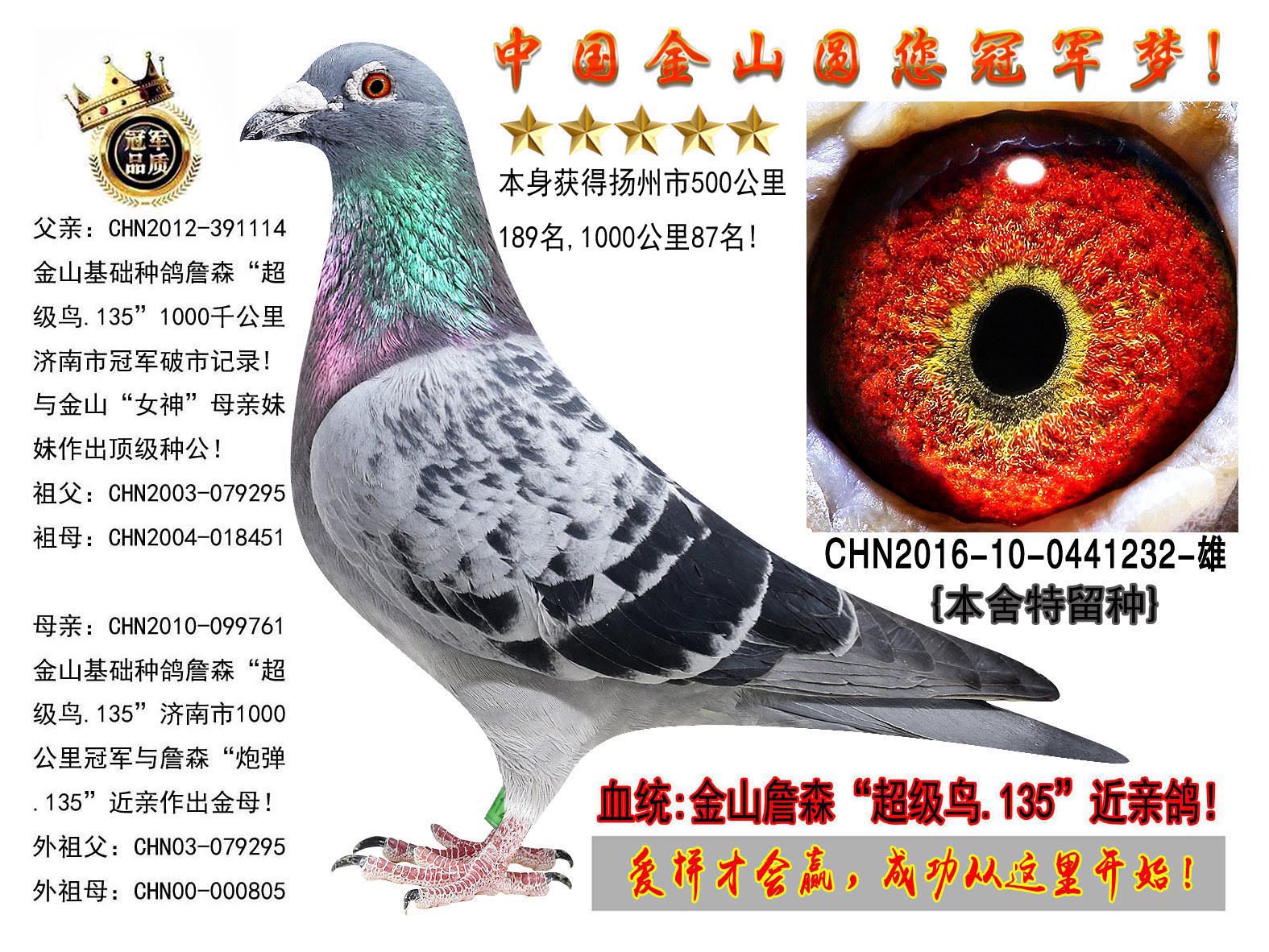 ղɭB.135ϵؽHѪ!