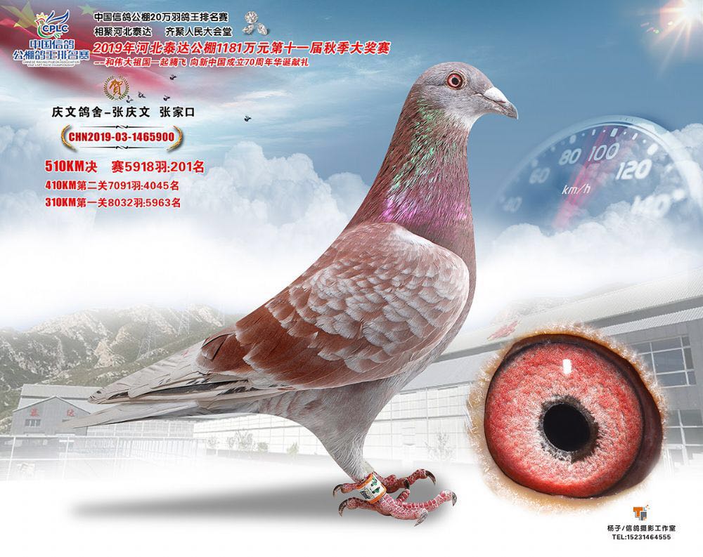 ̩_(d)Qِ201