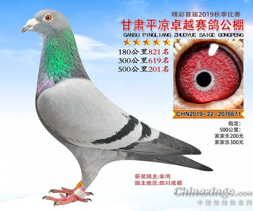 Cƽ?jng)׿ԽQِ201