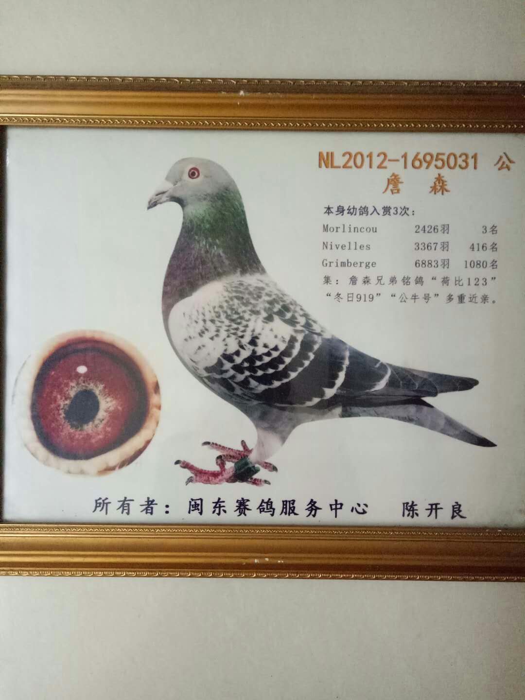 彼得詹森031(已售)