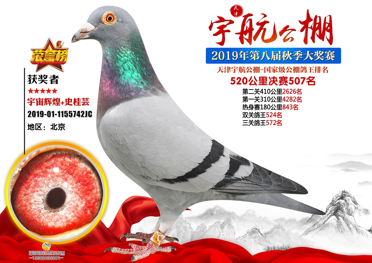 2019�������Qِ507��