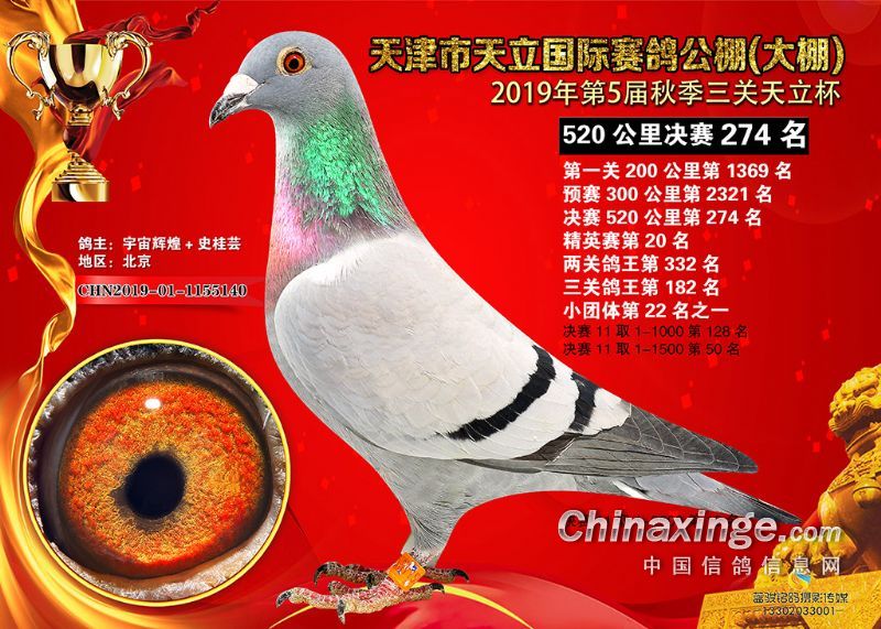 2019����������Qِ274��