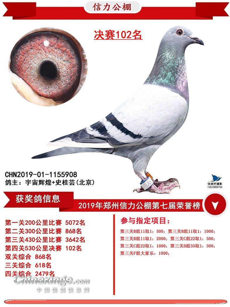 2019�������������102��