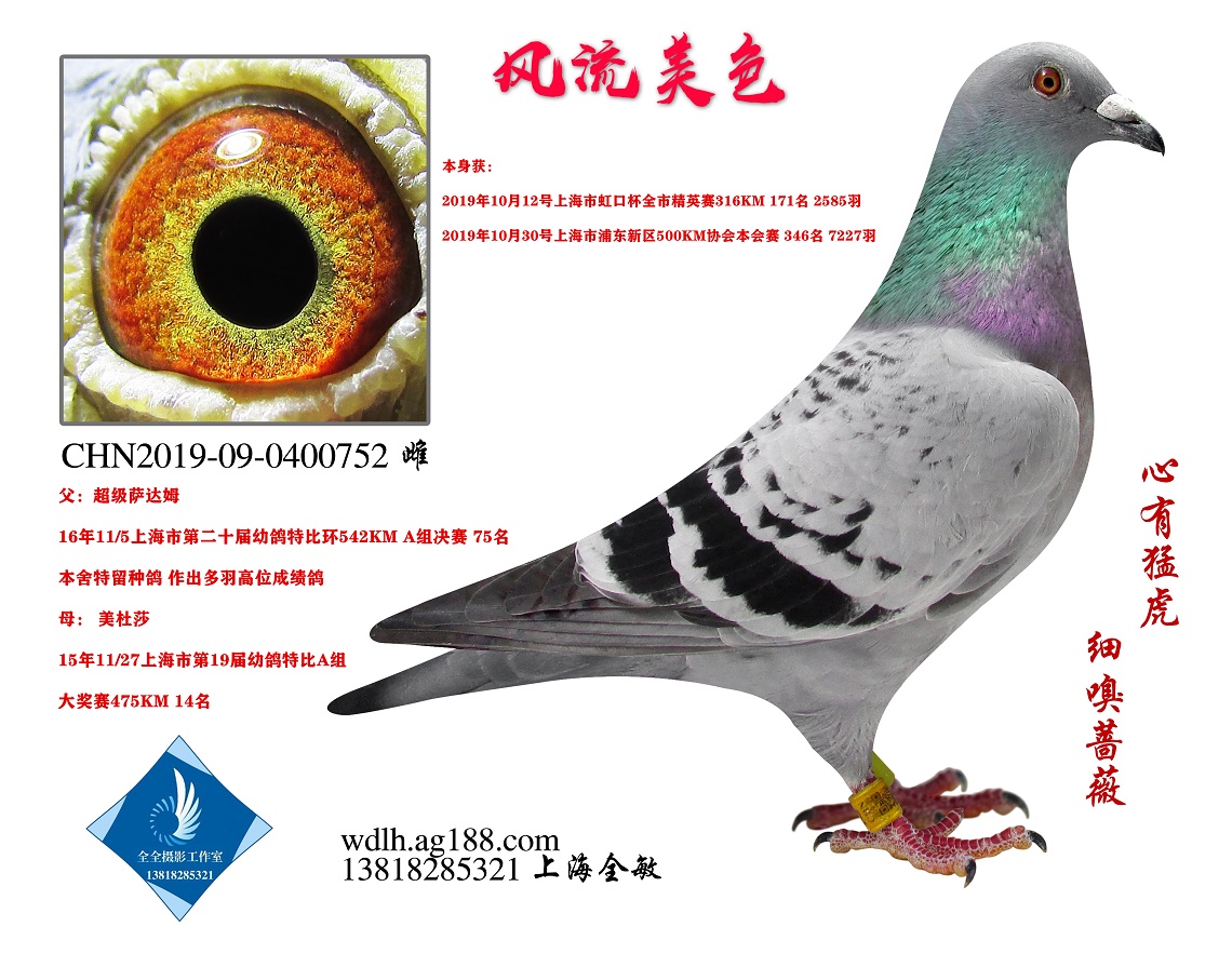 L(fng)ɫ D(zhun)