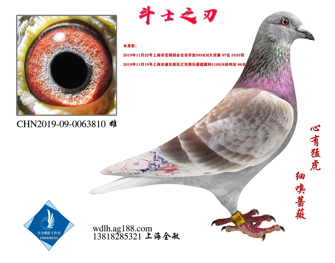 ʿ֮ D(zhun)