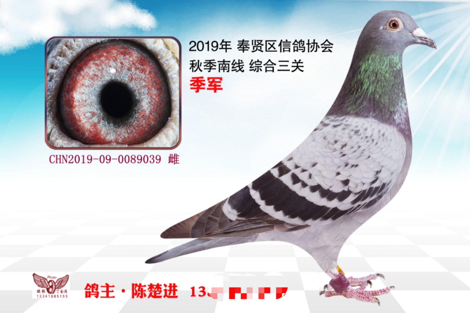 2019Ϻt^(q)ϾP(gun)Cϼ܊