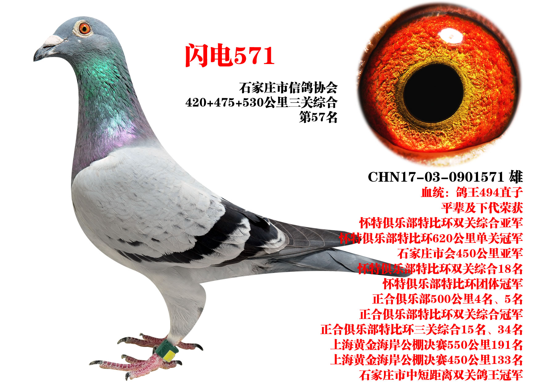 ɣʿ W571