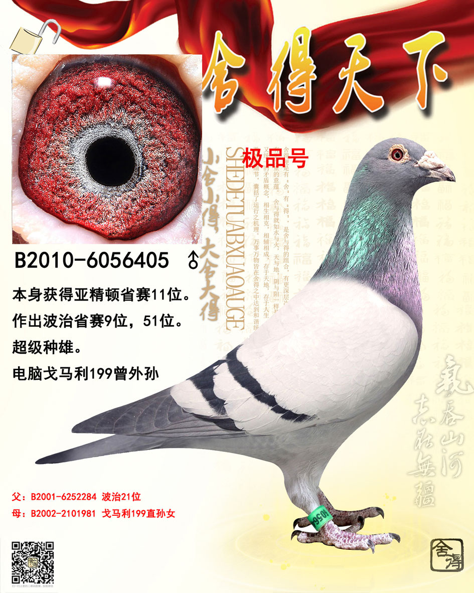 XOƷ̖