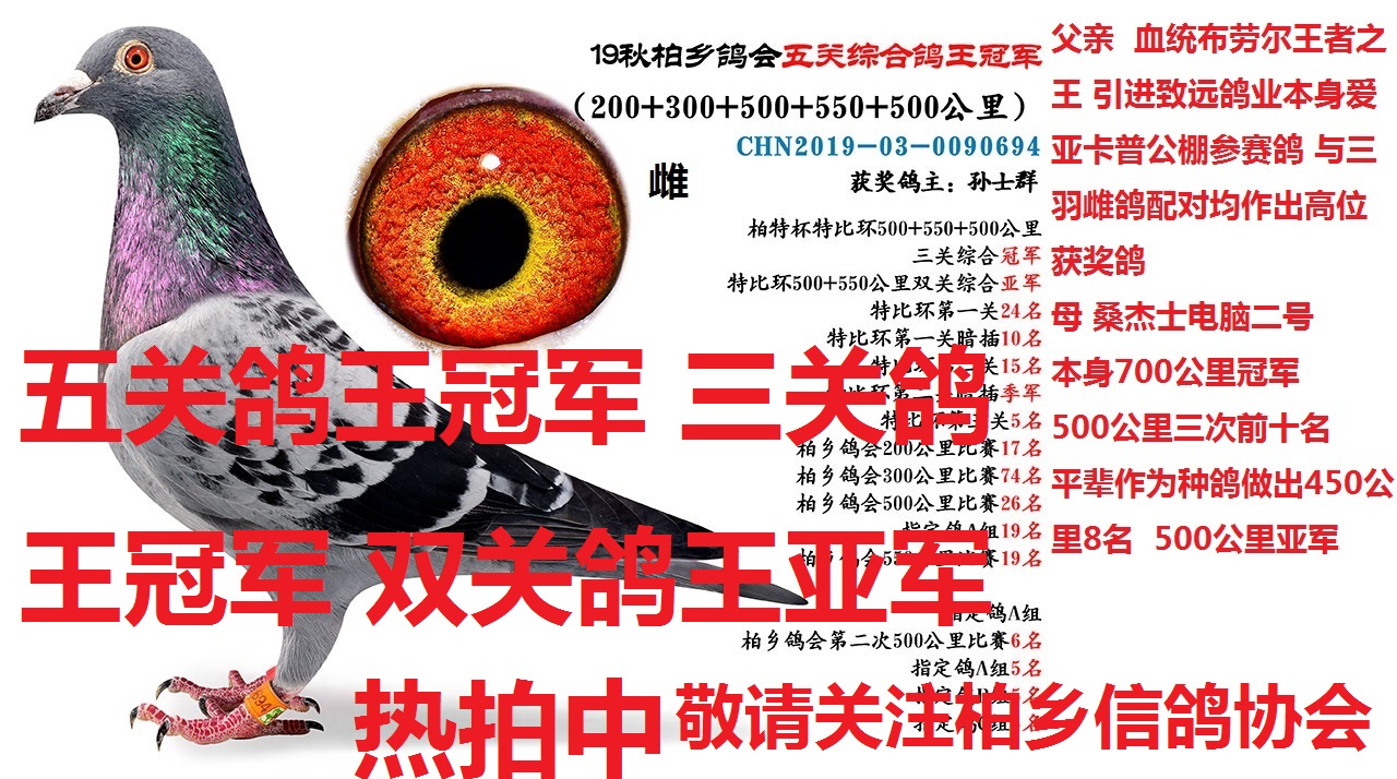 王冠军书法 H65327550843.jpg