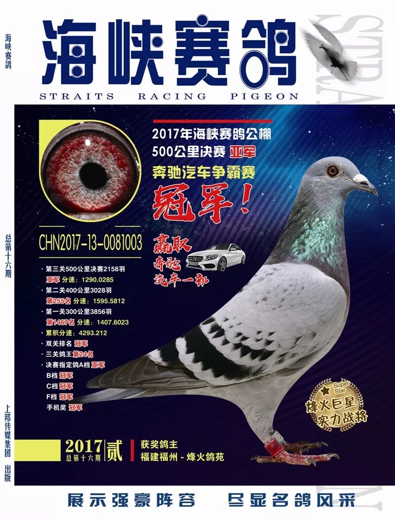 17年福建海峡公棚决赛亚军鸽王冠军