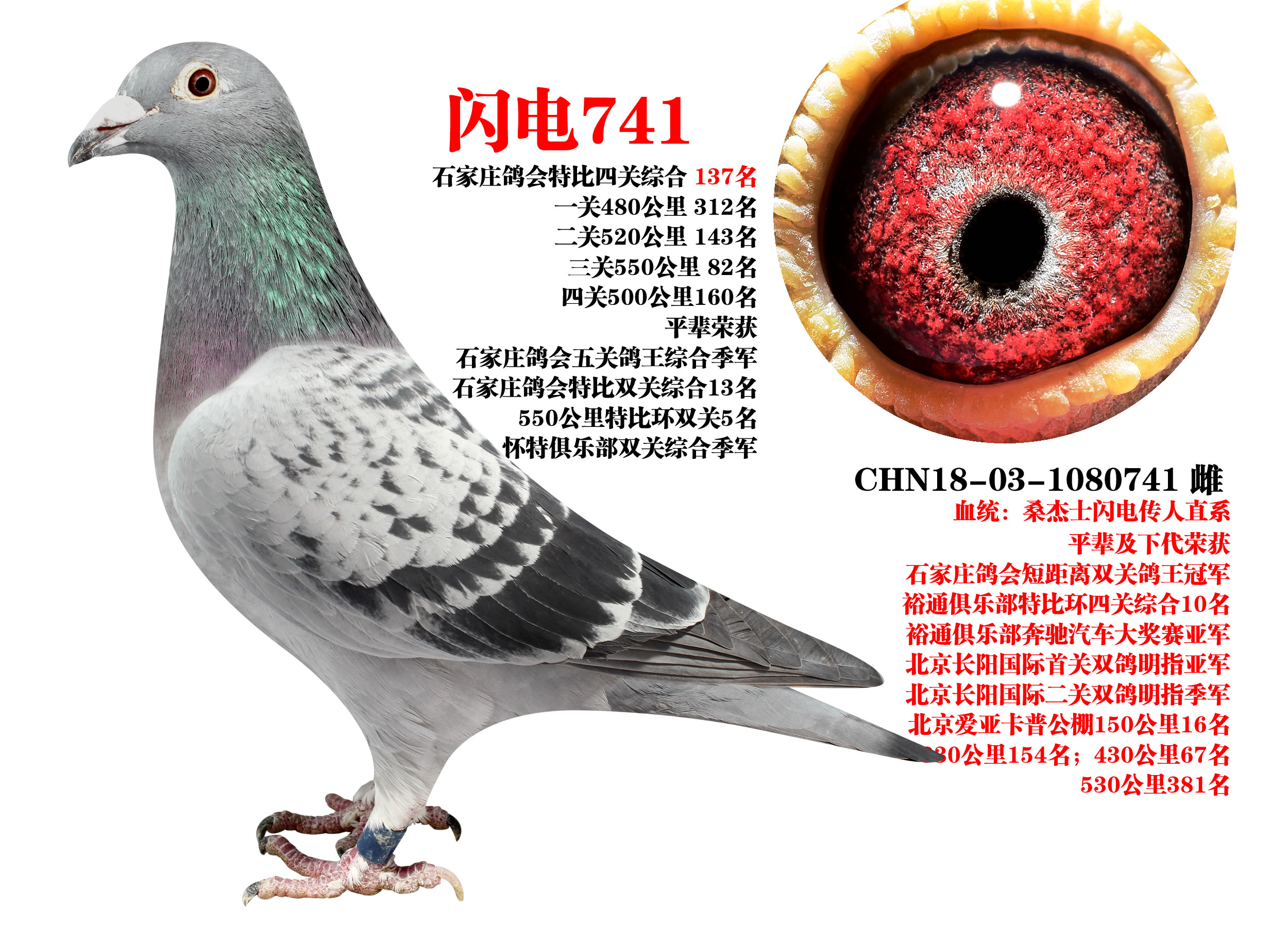 ɣʿ W741