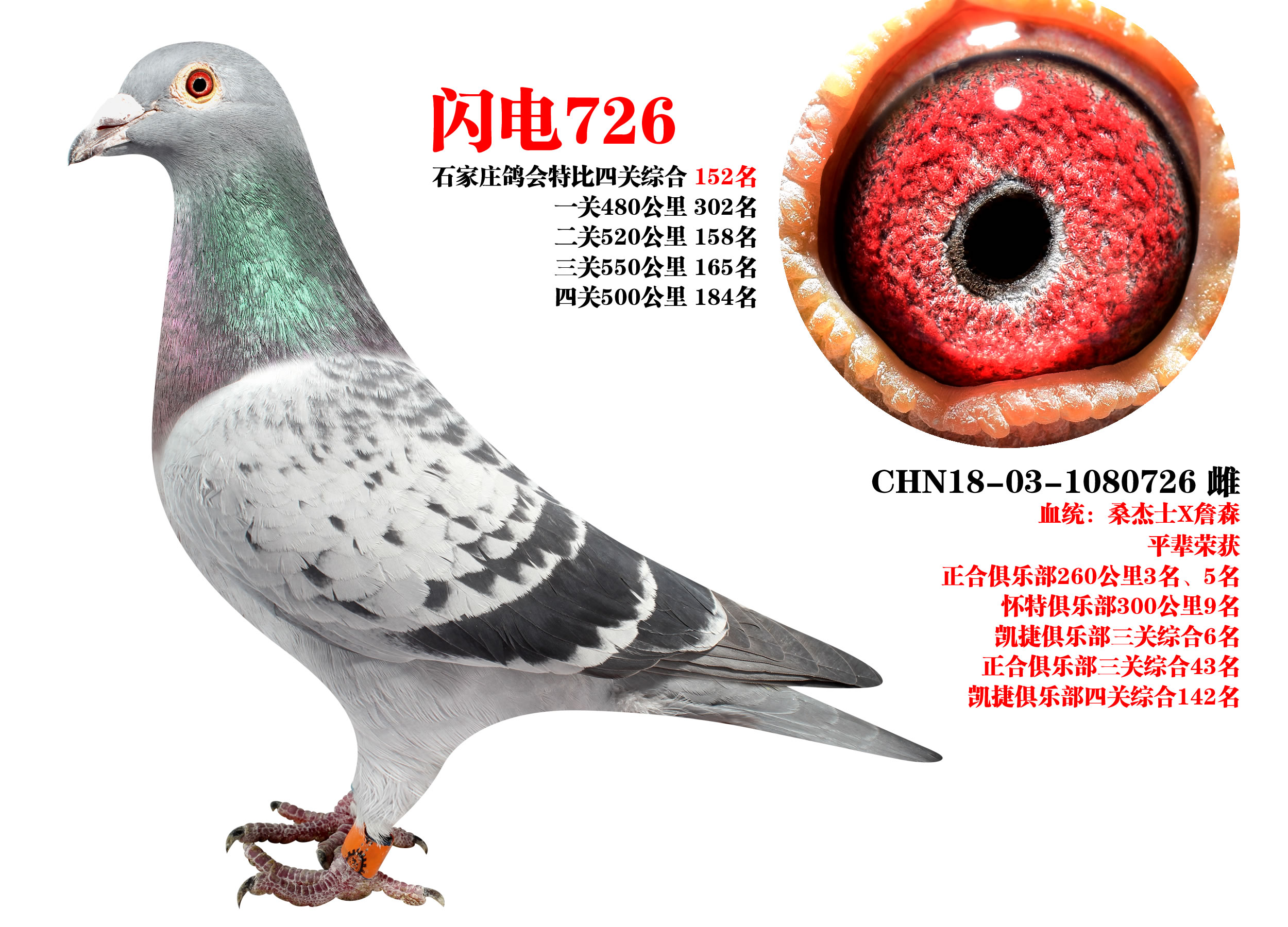 ɣʿ W726