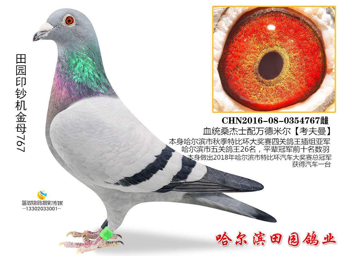 @ӡnC(j)767