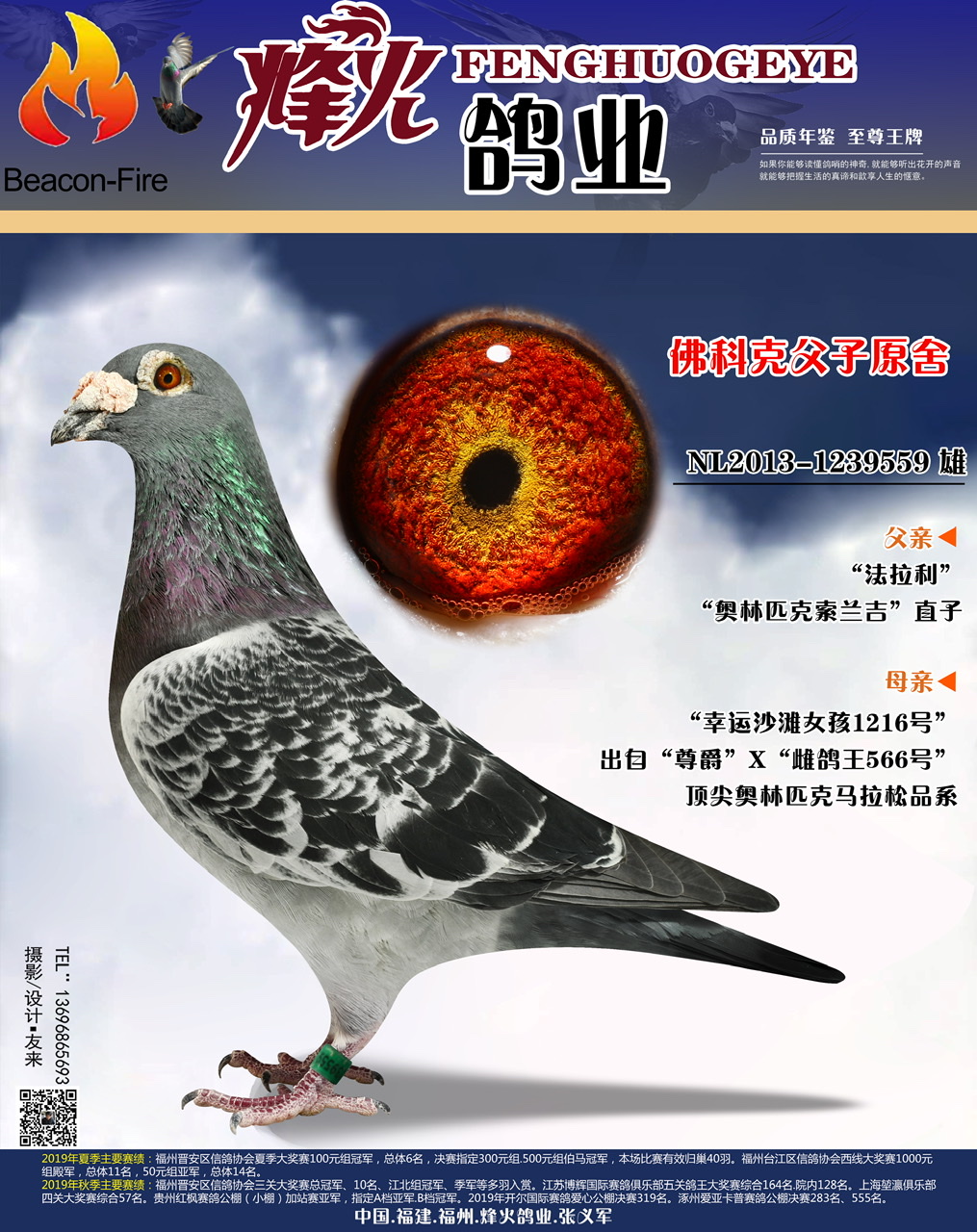 "佛科克559"