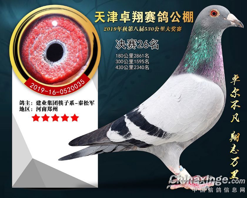 ׿蹫Qِ26