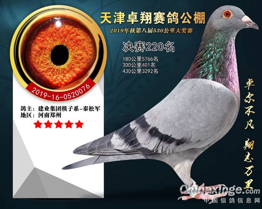 ׿蹫Qِ220
