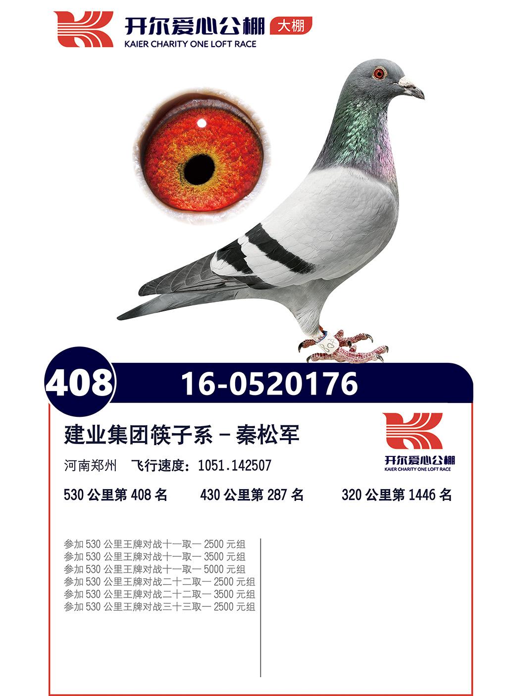 _Ĺ408