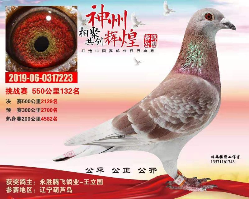 辽宁神州辉煌公棚挑战赛