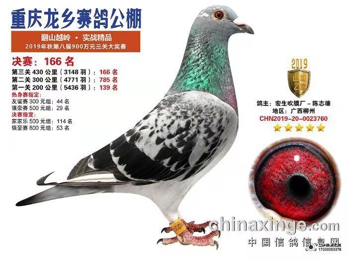 CHN2019-20-0023760