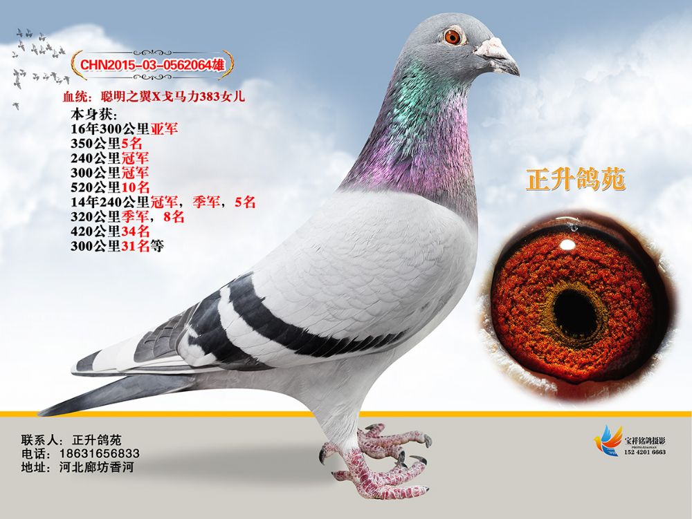 R383O