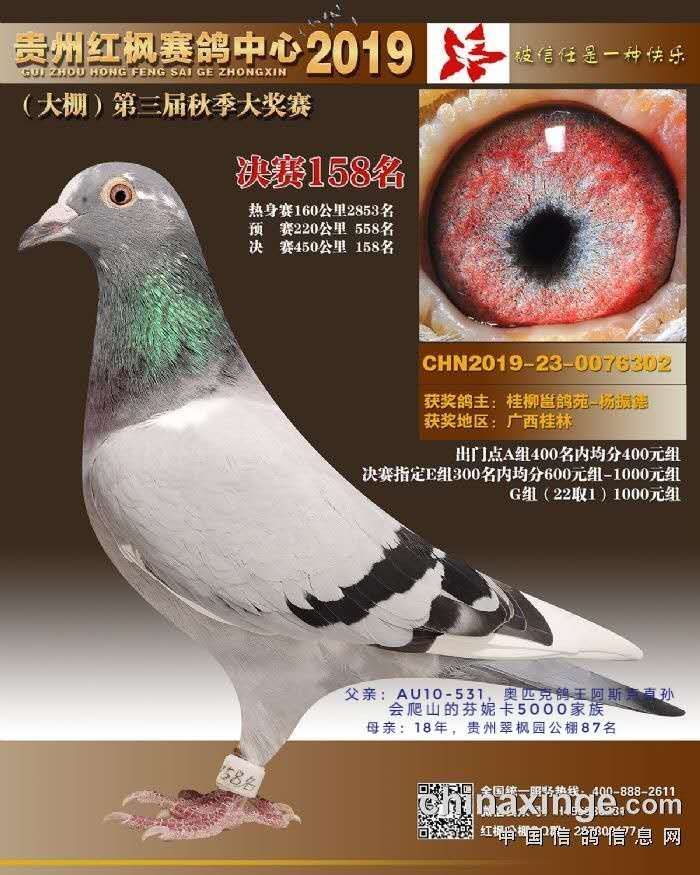 芬妮卡5000阿斯克家族