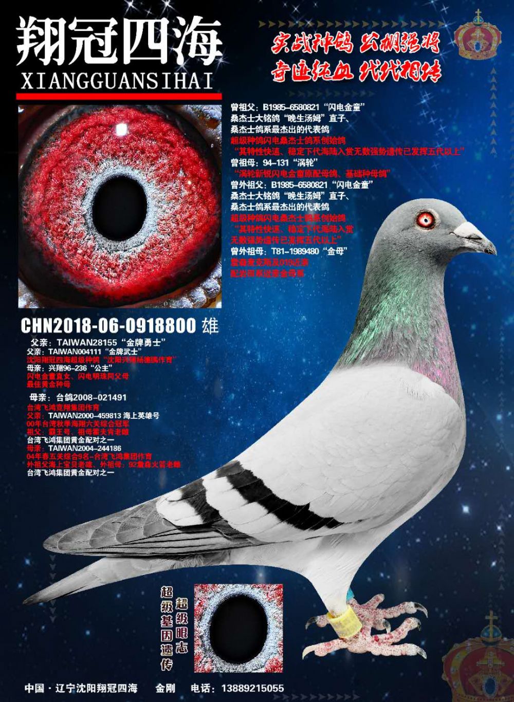 ΢ňDƬ_20200223161822