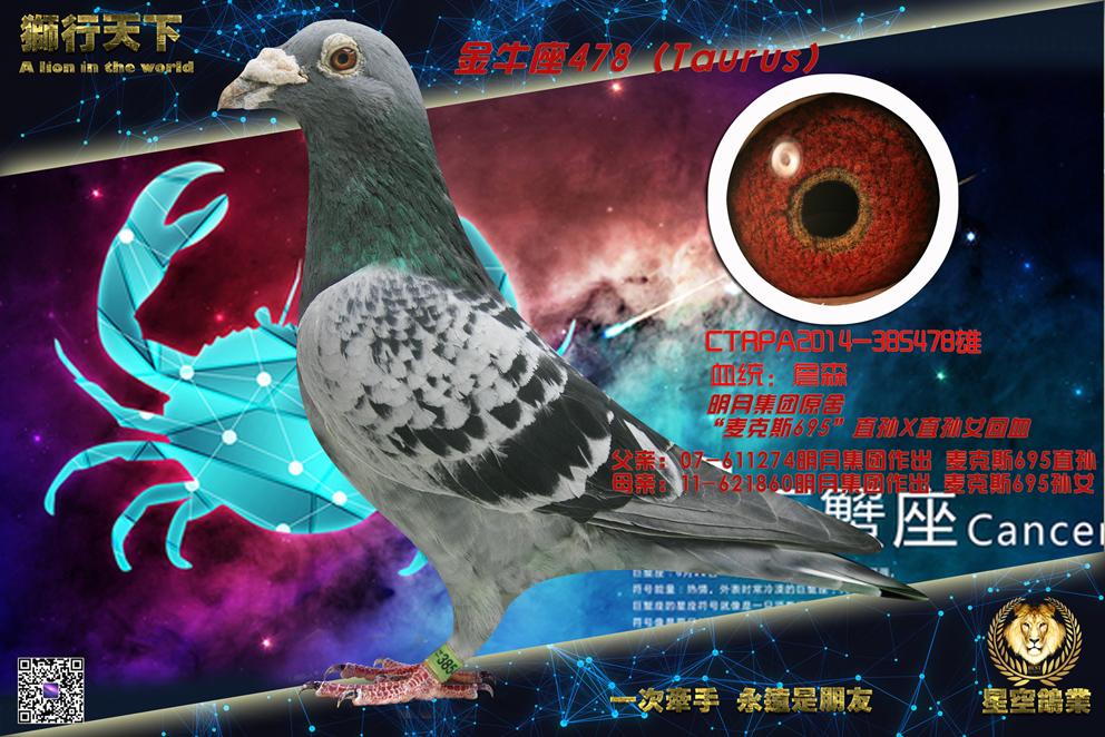 ��ţ���������к�478��
