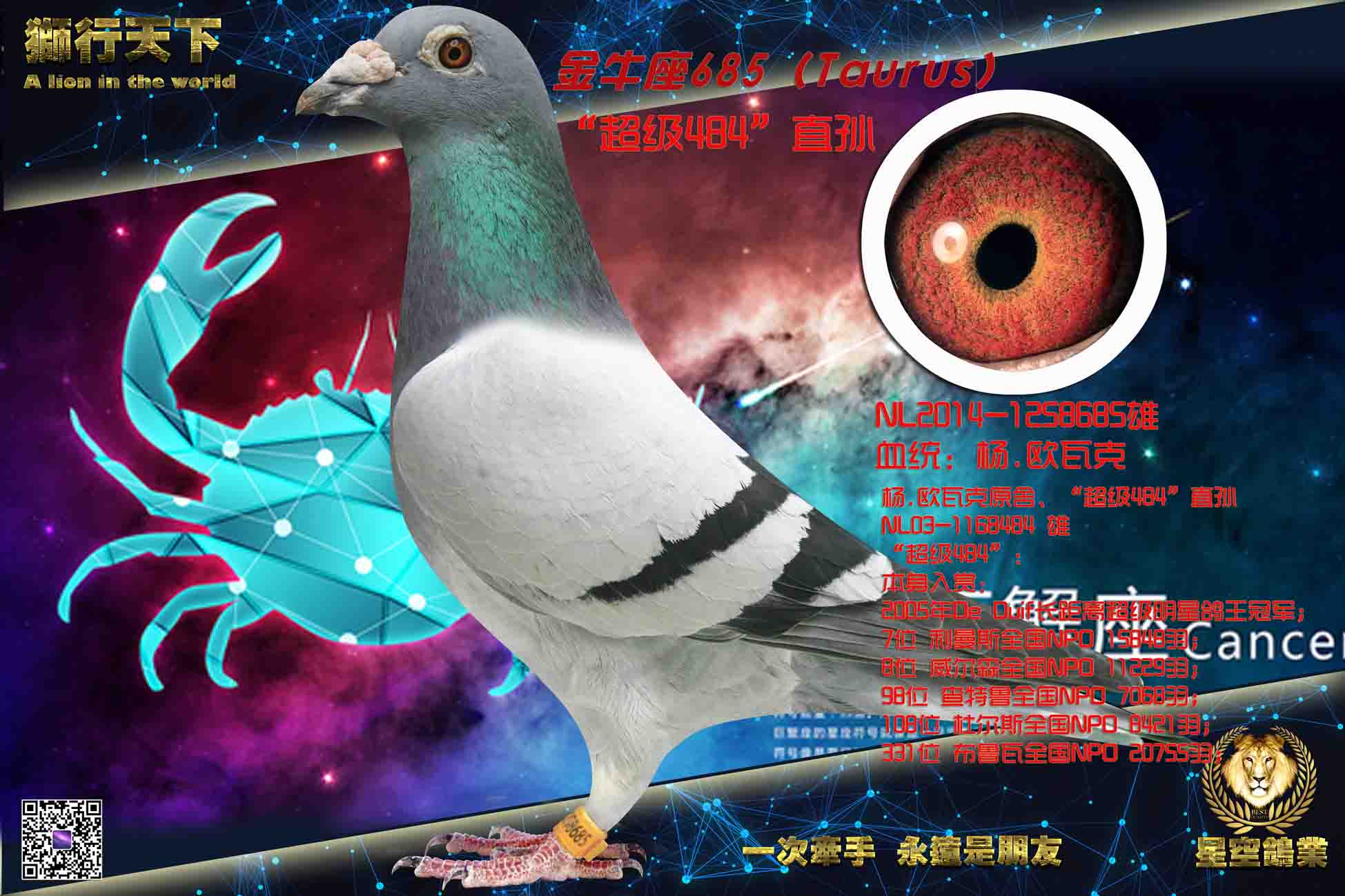 ��ţ�����ŷ�߿�ղɭ458��