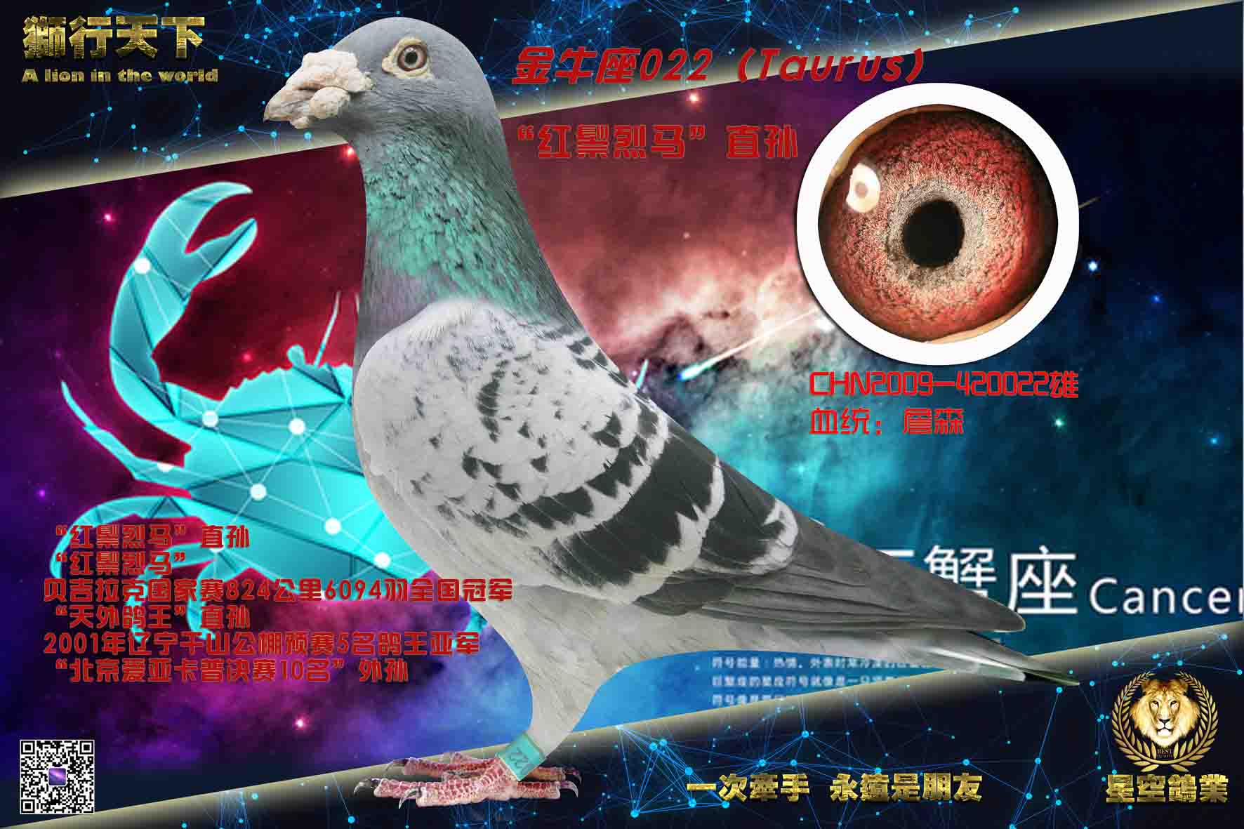 ��ţ�����������˸���ֱ��022��