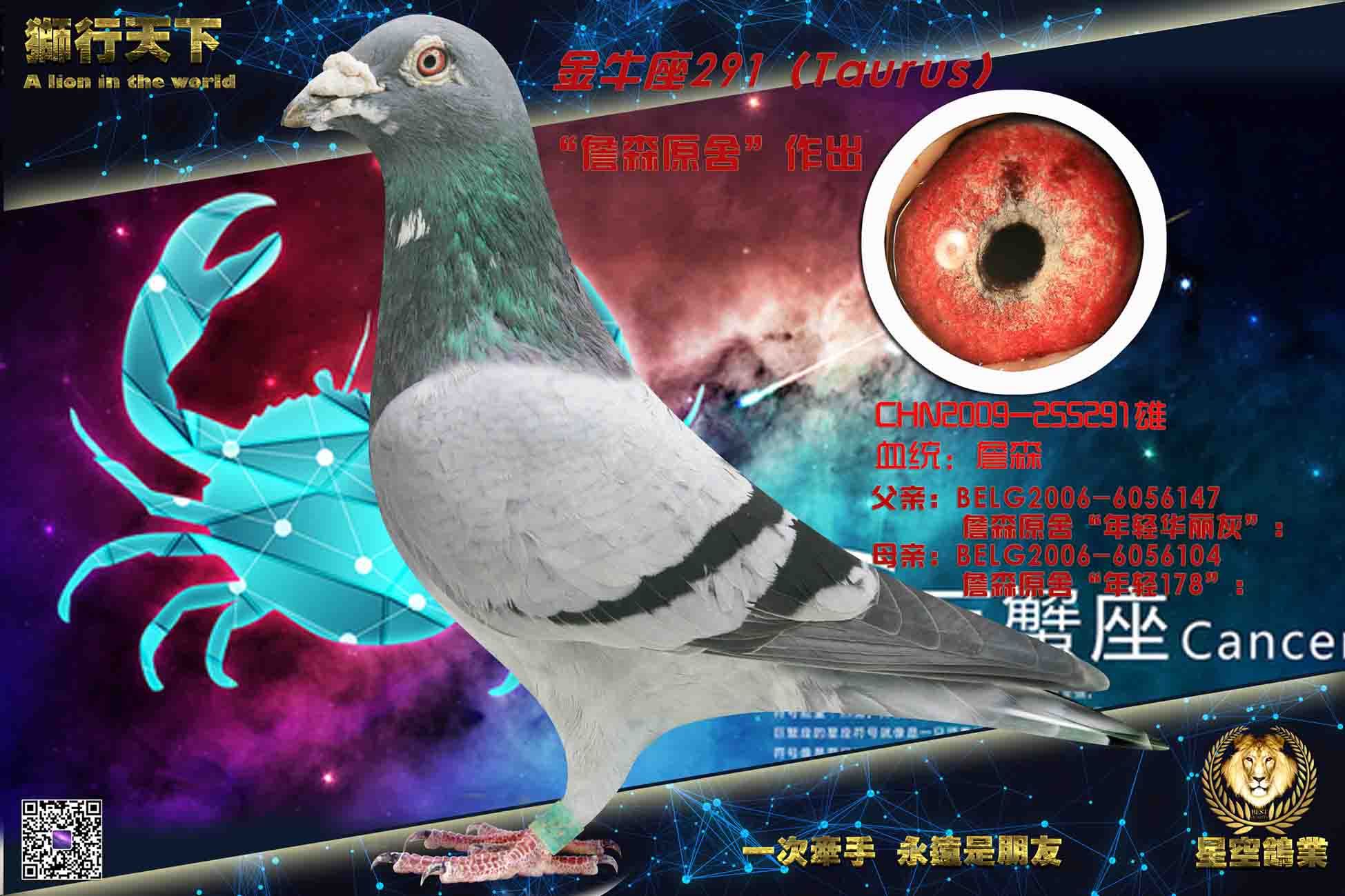 ��ţ����ղɭ291��
