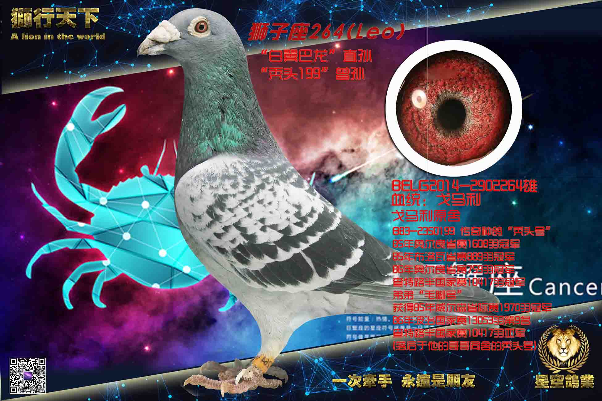 ʨ����264