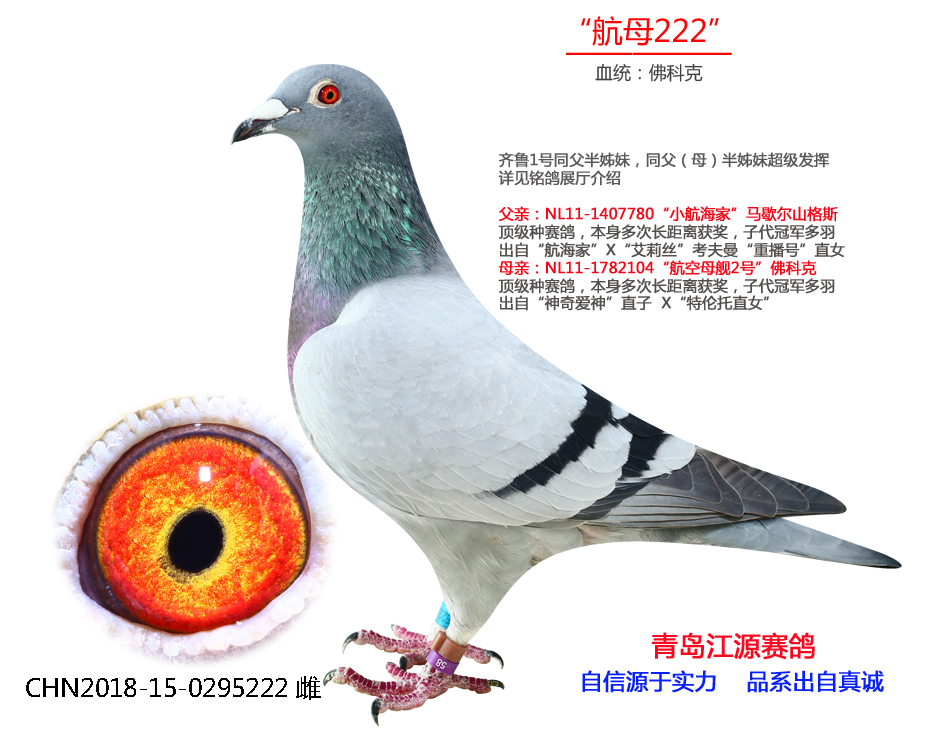 航母222-佛科克