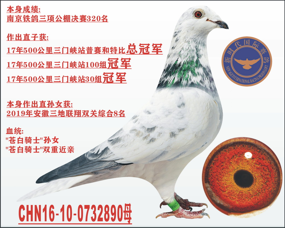 nס(xing)(lin)迂܊֮ĸ