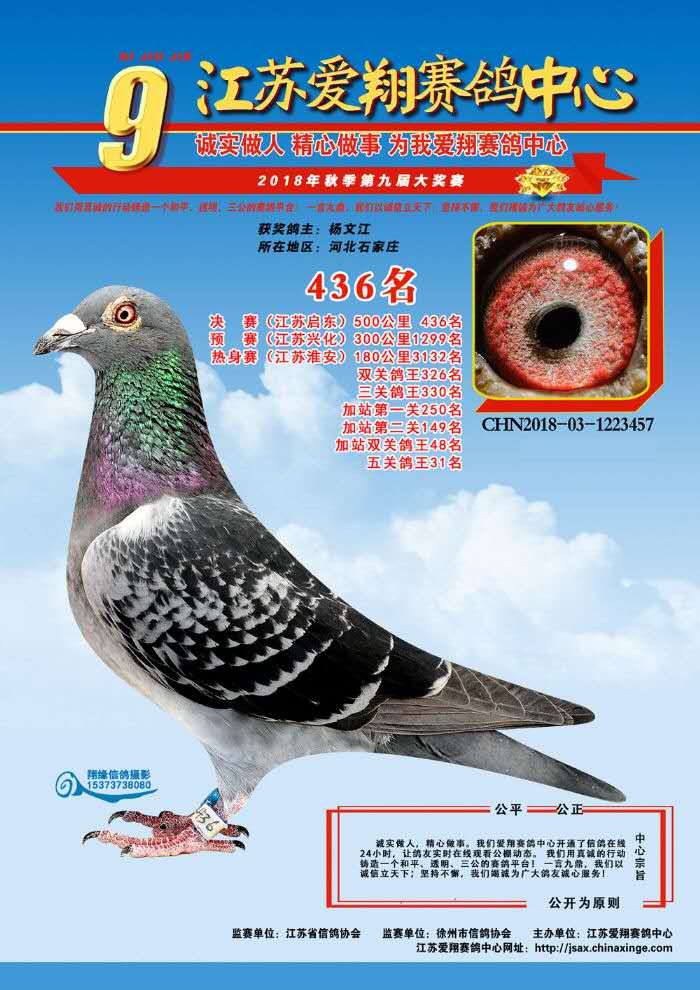 2018ｭհ436