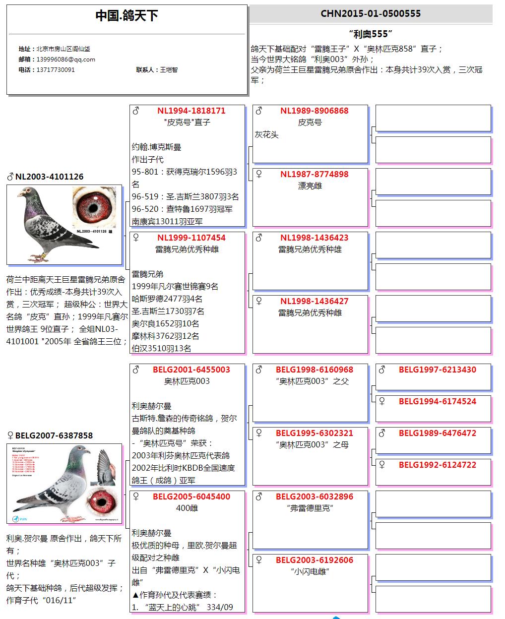 "利奥003"孙代 正在拍卖