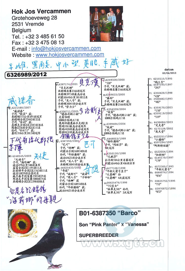 乔斯佛卡门原舍_玖仟鸽业_ag188.com爱鸽商城_中国