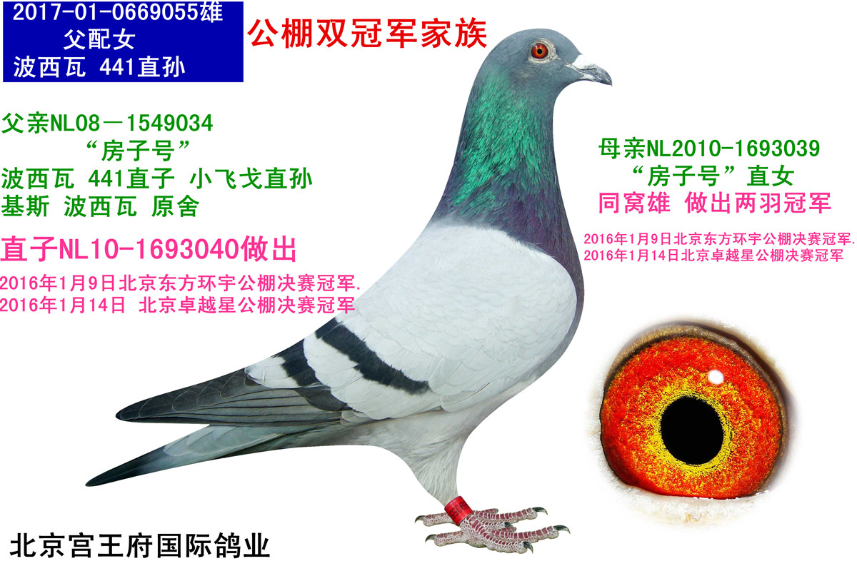 H68026678688.jpg
