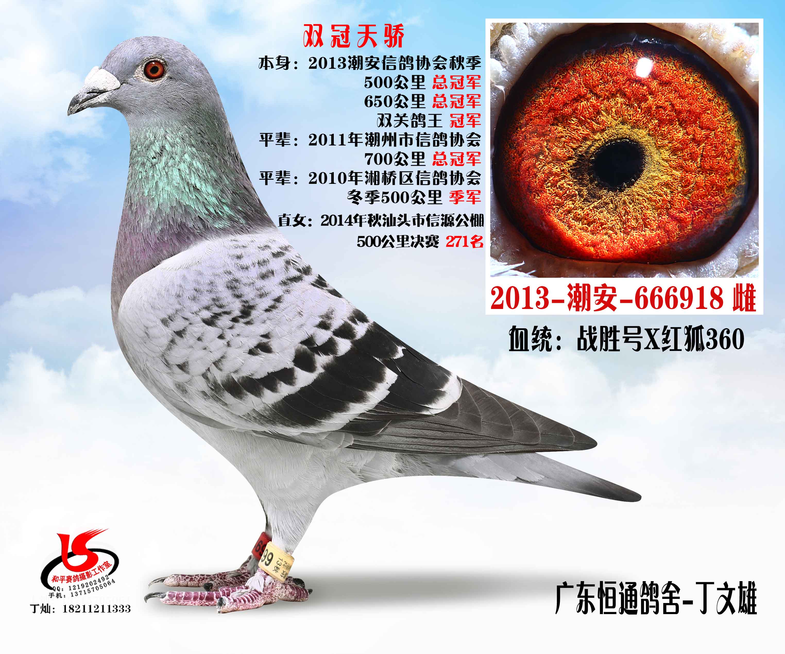 双冠天骄